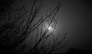 抖音散落的月光穿过了云是什么歌 散落的眼光穿过了云歌曲分析