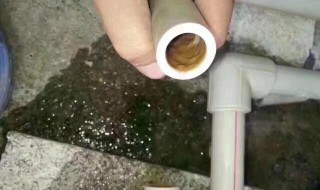 水管青苔堵塞如何疏通 青苔堵塞水管如何疏通