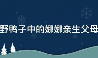 野鸭子中的娜娜亲生父母是谁 野鸭子简介