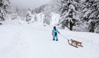 高山滑雪按平均速度排列从高到低依次为什么 高山滑雪按平均速度从高到低依次简述