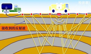 地震波的振幅的单位是什么 地震波的振幅的单位是啥