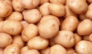 土豆的营养价值 原来土豆有这么多功效