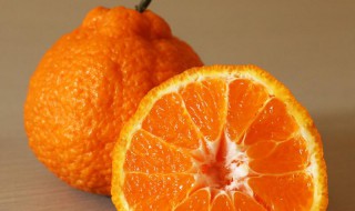 丑八怪橘子树种植技术是什么 丑八怪水果什么时候成熟