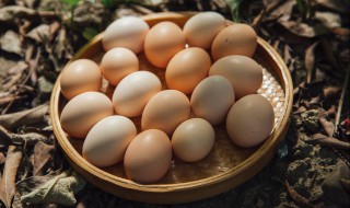 土鸡蛋功效与营养价值 科普土鸡蛋功效与营养价值