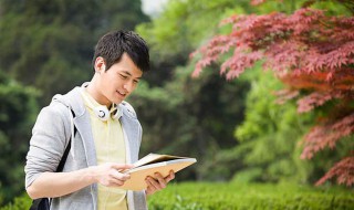 山药蛋派名词解释 山药蛋派介绍