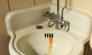 洗手盆下水道反味儿的解决办法 洗手盆下水道反味怎么办