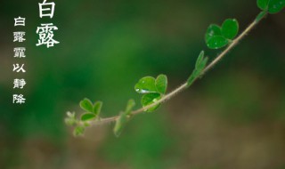 白露节气的诗句 适合白露节气的诗句