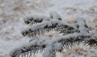 初雪发朋友圈句子 初雪的唯美说说发朋友圈