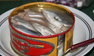 鲱鱼罐头是哪个国家的 鲱鱼罐头简介