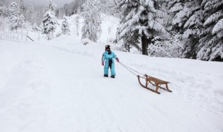 初学者滑雪技巧有哪些 如何掌握滑雪技巧