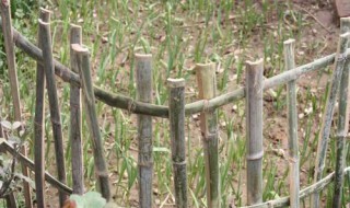 竹篱笆捆扎方法（竹篱笆绑法）