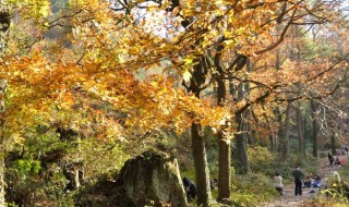 南黄古道徒步坡道多吗（黄南古道多久能走完）