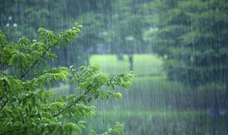 阴雨天单反摄影风景技巧 雨天摄影实拍技巧