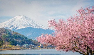 日本做客礼仪是什么（日本做客礼仪是什么服务）