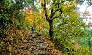 南黄古道自驾游介绍（南黄古道游玩攻略 时间）