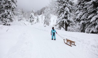 怎么解决道路积雪 高速路积雪如何解决