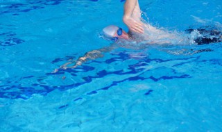 蝶泳腿的正确锻炼方法 蝶泳腿的正确锻炼方法图