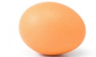 鸡蛋怎么变变蛋（怎么把鸡蛋变成小鸡）