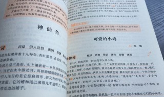 作文怎么写 几点简单的步骤教你深入了解