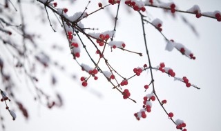 抖音下雪超级火的句子 抖音下雪超级火的句子抖音最美下雪文案