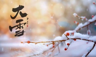 大雪节气吃什么好（大雪节气吃什么好吃的）