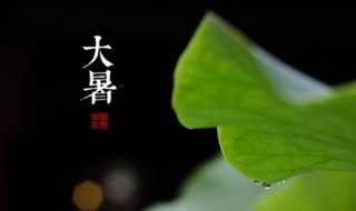 小暑和大暑有什么区别（小暑和大暑有什么区别呢）