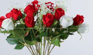 冬季迷你玫瑰花种植方法和注意事项（迷你玫瑰花的养殖方法和注意事项）