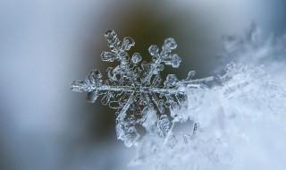 为什么雪花是六角形 为什么雪花是六角形的一句话