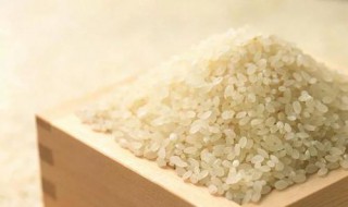 籼米的功效与作用 籼米的功效与作用中华康网