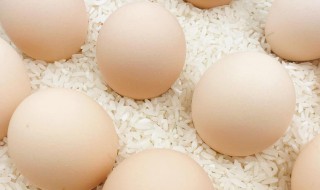 土鸡蛋怎么保存 土鸡蛋怎么保存好?