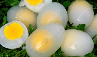 鸽子蛋怎么吃最营养（鸽子蛋怎么吃最营养好）