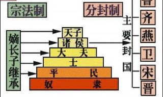 简洁的概括分封制的内容（简洁的概括分封制的内容是什么）