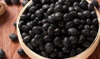 黑豆的功效与作用 黑豆的功效与作用禁忌湿气重