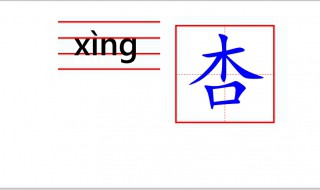 杏字怎么写（杏字怎么写好看）