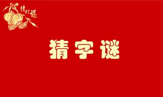 格外大方猜字谜打一字 格外大方猜字谜打一字答案