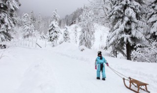 关于冷雪的句子（关于冷雪的句子唯美）