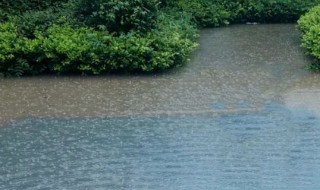 梅雨天什么时间（梅雨天持续多长时间）