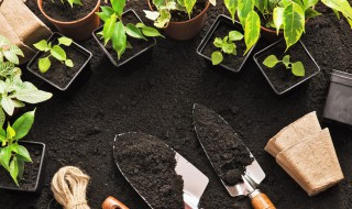 保护土壤的简单方法有哪些（保护土壤的简单方法有哪些英语）