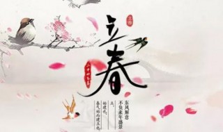 立春养生有原则（立春养生三要）