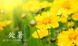 2021处暑节气的含义是什么意思（2021年处暑后是什么节气）