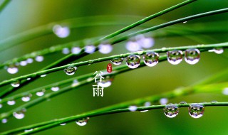 谷雨节气的诗词 谷雨节气的诗词图片