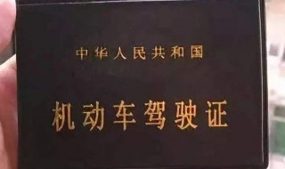 驾驶证未备案什么意思（为什么显示驾驶证未备案）