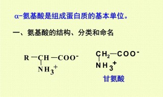 酸性氨基酸有哪些? 20种氨基酸中酸性氨基酸有哪些