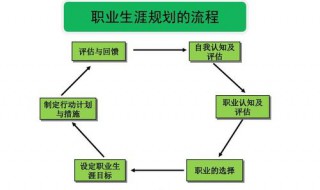 成功的职业生涯是什么（成功的职业生涯是什么意思）