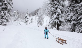 配雪景的唯美文字 配雪景的唯美句子