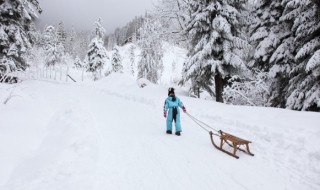 形容雪花味道的句子（形容雪花味道的句子简短）