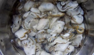 清水煮海蛎子的简单做法 清水煮海蛎子的简单做法大全