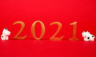 幼儿园老师告别2020迎接2021的句子 告别2020迎接2021的句子送给老师