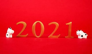 告别2020迎接2021感悟 告别2020迎接2021的句子有哪些