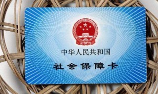 社保卡怎么查询缴费记录（没有电子社保卡怎么查询缴费记录）